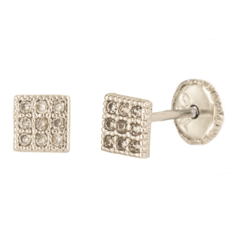 18K Bicolor Gold Frame Earrings with Zirconia