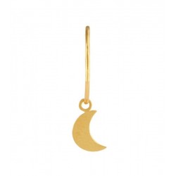 Aros choose your Charm in 18K gold